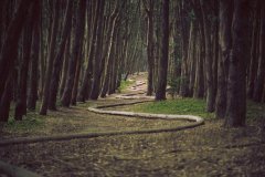 Facebook全链路自动化：星谷云AI驱动的投放
